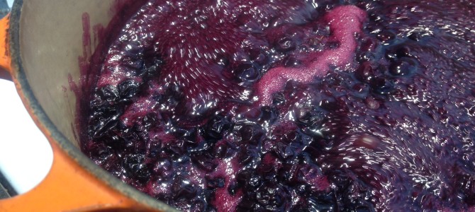 Blueberry Jam – Yes Ma’am! Blueberry Jam – Yes Ma’am!