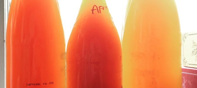 Make Your Own Kombucha – Recipe and Equipment Make Your Own Kombucha – Recipe and Equipment