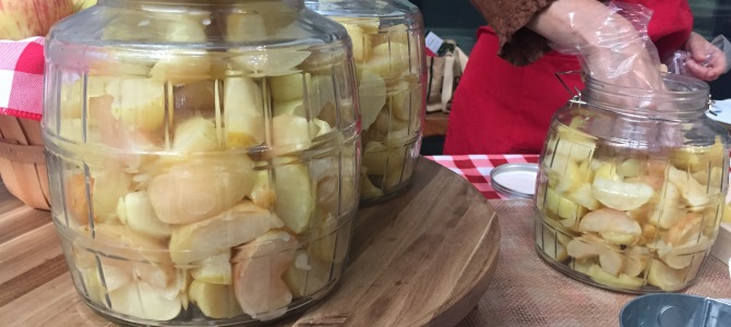 Fermented Apples, Fermented Honey, and Cabbage Apple Onion Caraway Sauerkraut Recipes Fermented Apples, Fermented Honey, and Cabbage Apple Onion Caraway Sauerkraut Recipes