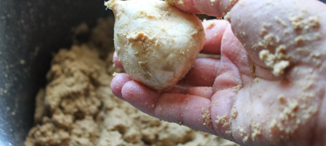 Japanese Fermented Rice Bran Pickles (Nukazuke) Japanese Fermented Rice Bran Pickles (Nukazuke)